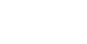 logo RODITIWITHE
